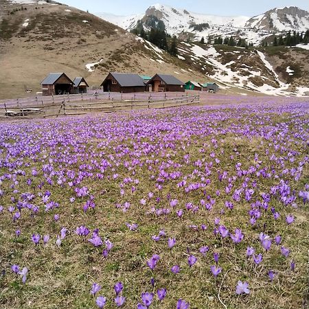 Katun Siska Medna Dolina Villa Berane Dış mekan fotoğraf
