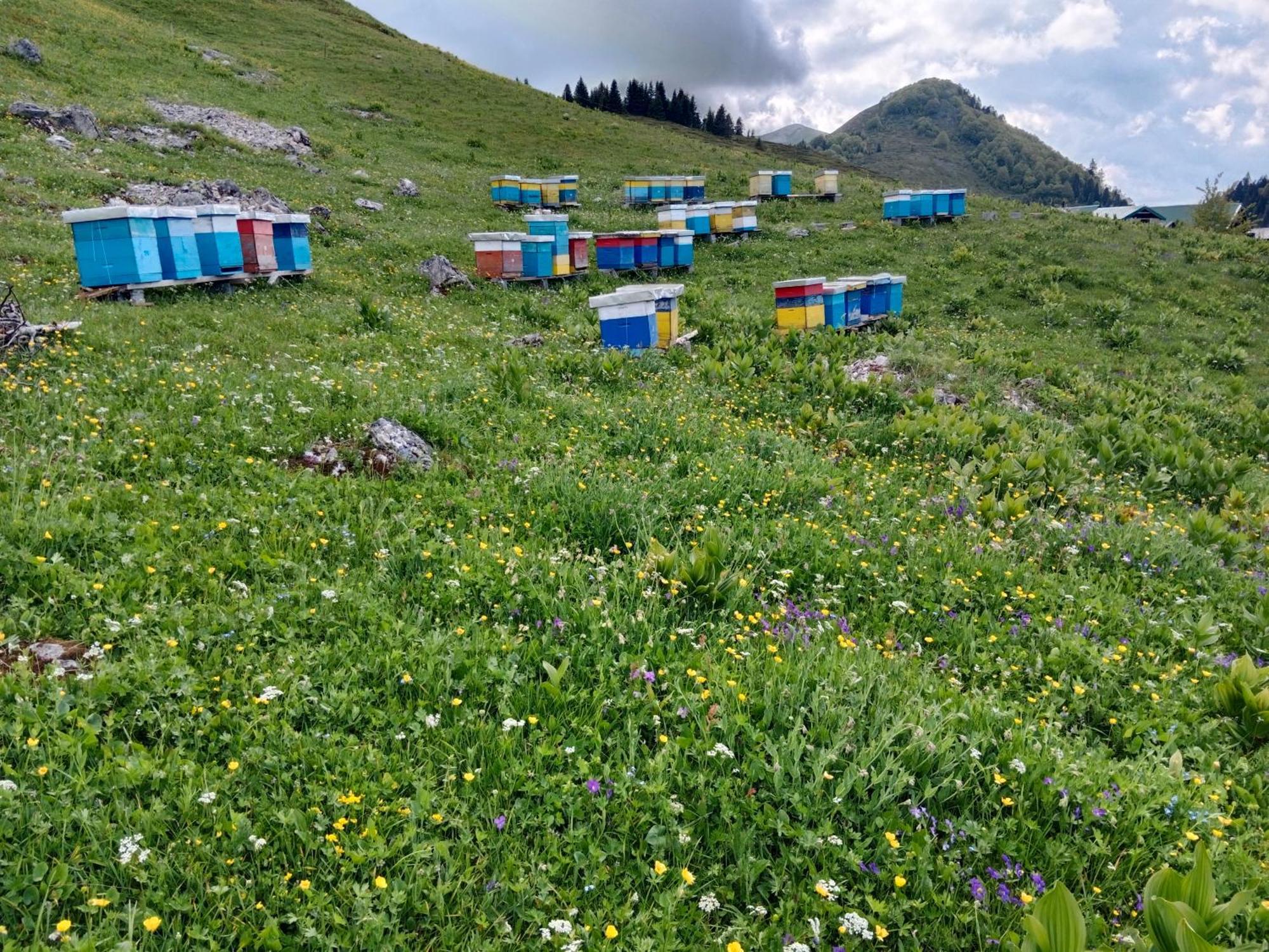 Katun Siska Medna Dolina Villa Berane Dış mekan fotoğraf