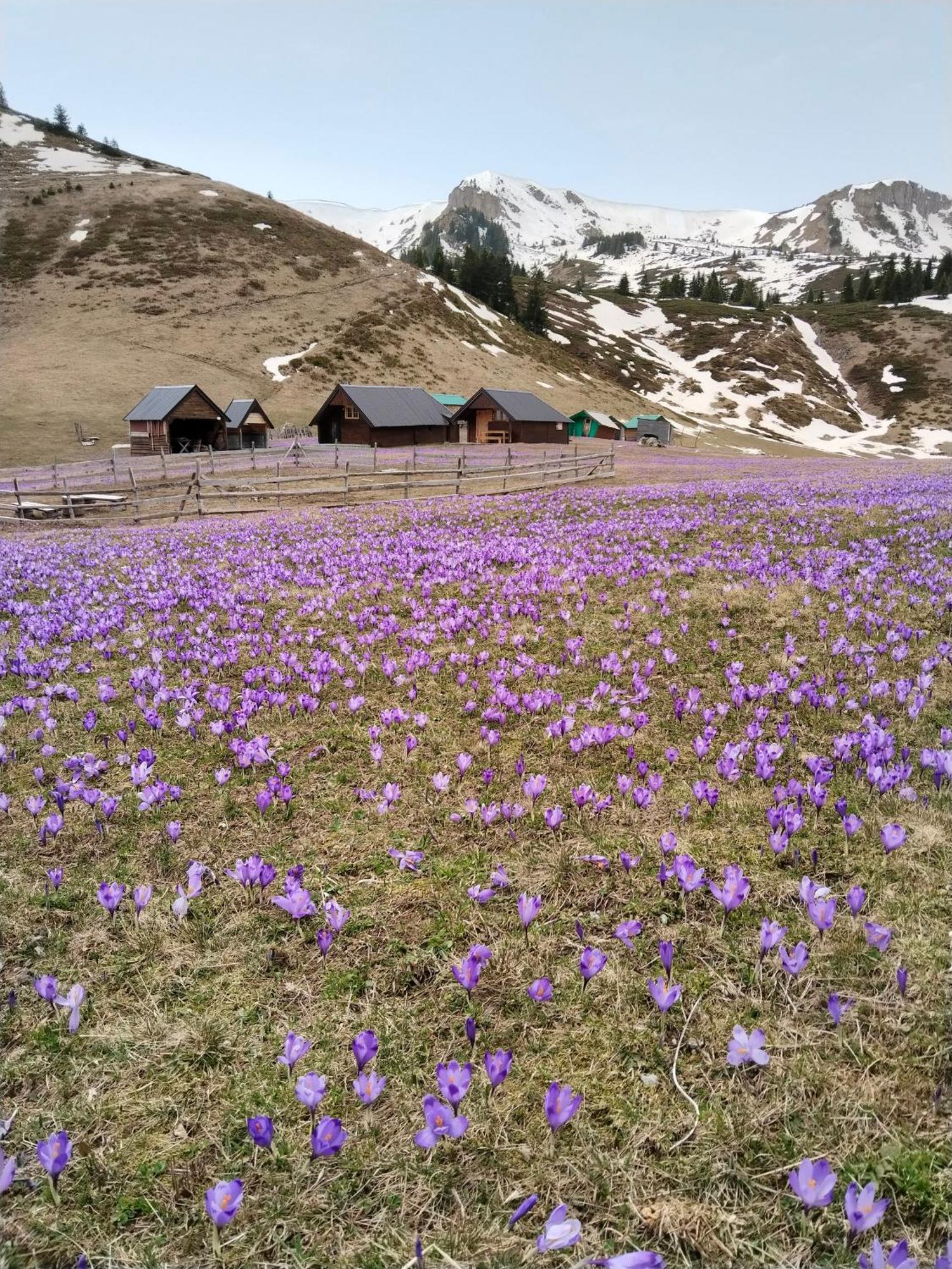 Katun Siska Medna Dolina Villa Berane Dış mekan fotoğraf